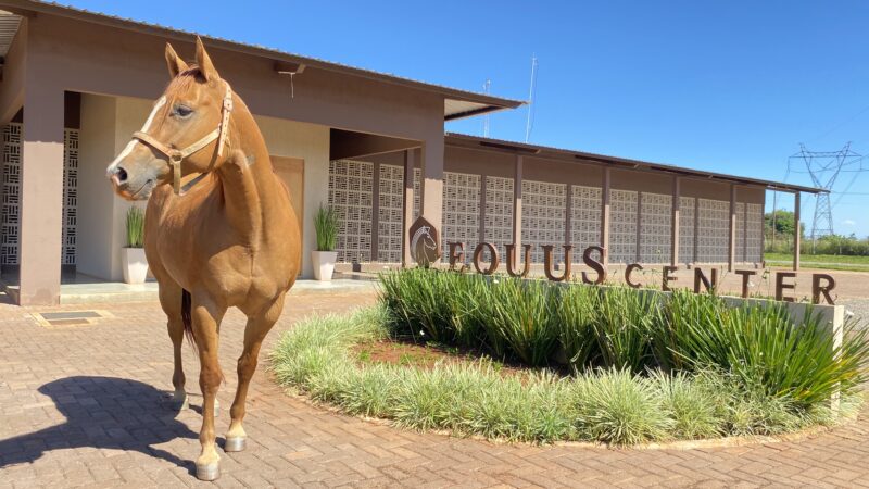 Equus fachada kaju
